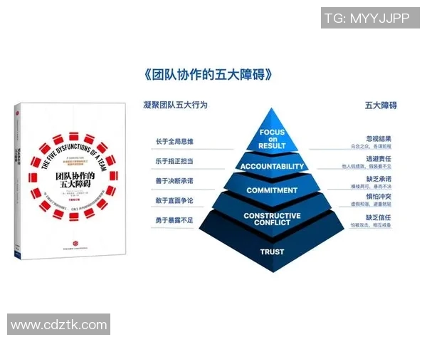 南京羽毛球队团队协作的成功之道与实践经验分享
