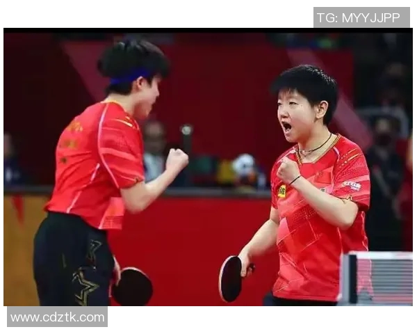 成都乒乓球队配合策略深度剖析与其他队伍的差异比较