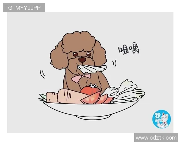 赵磊独家分享篮球心得与技巧助你提升球技的全面指南