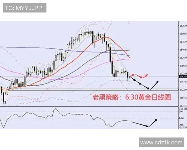 上海篮球队进攻策略分析与得失评估探讨