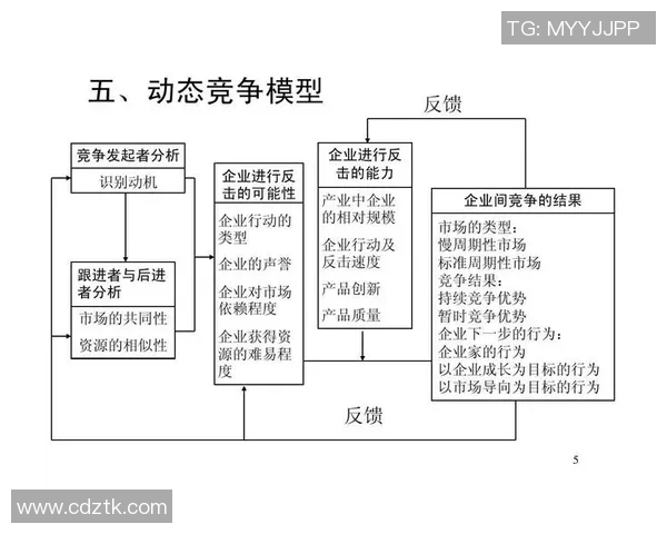 专业解读LNG反击策略及其在市场竞争中的应用分析