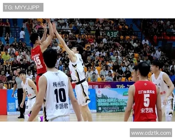 广州篮球队强势崛起最新篮球力量排行榜前十名揭晓