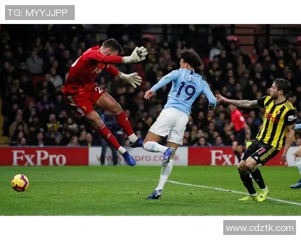 切菲尔德与南安联的激烈对决展现英冠足球的魅力与竞争力 切菲尔德与南安联的激烈对决展现英冠足球的魅力与竞争力