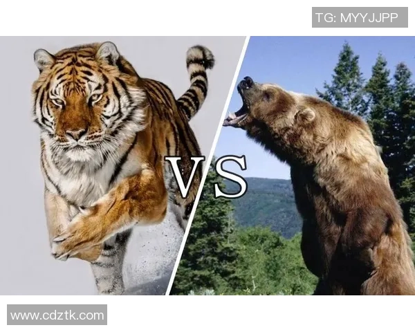 老虎大学与美洲虎的精彩对决谁将赢得最终胜利