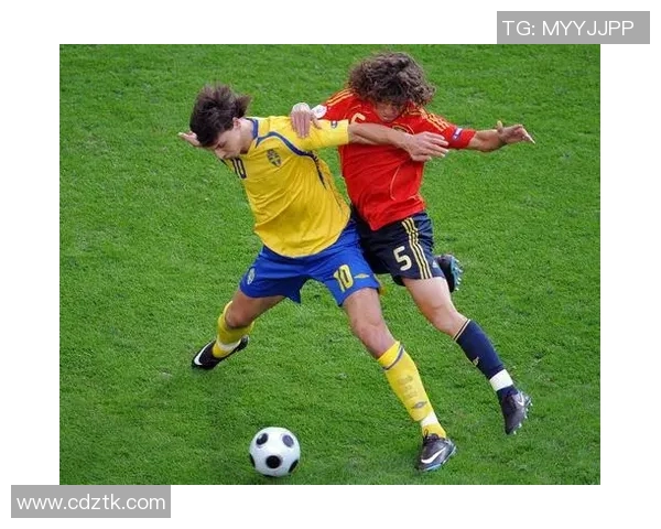 法国与瑞典精彩对决全场录像回放及精彩瞬间分析