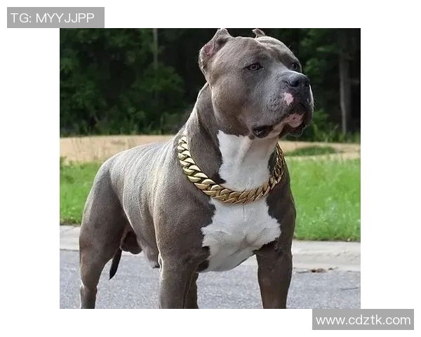 恩瑞克与胡子杀手的终极对决谁能在这场战斗中笑到最后