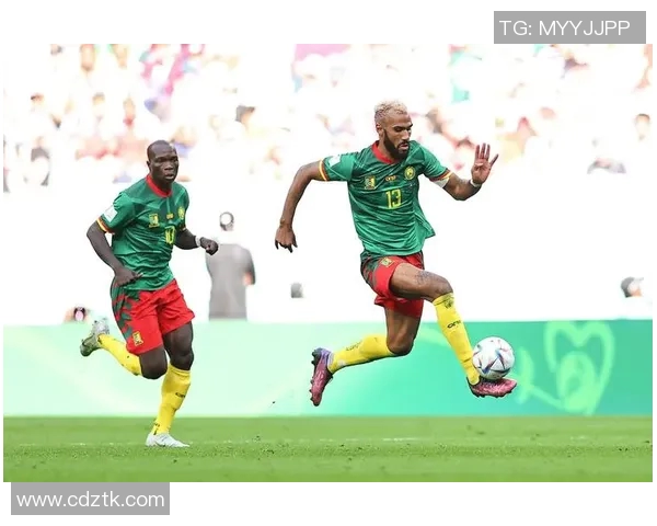 非洲杯精彩对决南非迎战喀麦隆谁能笑到最后