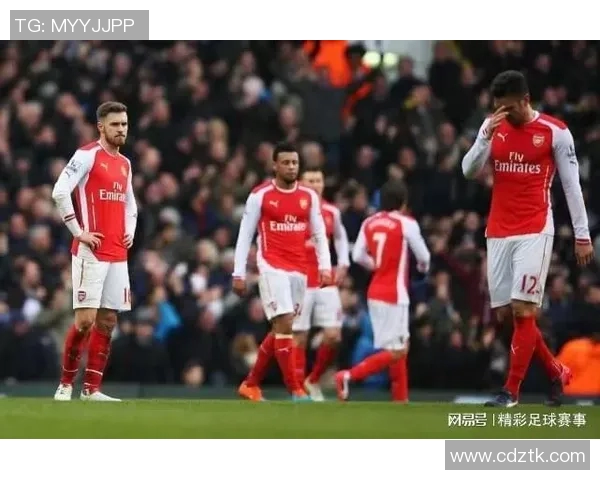 阿森纳与埃弗顿精彩对决下载指南及比赛回顾分析