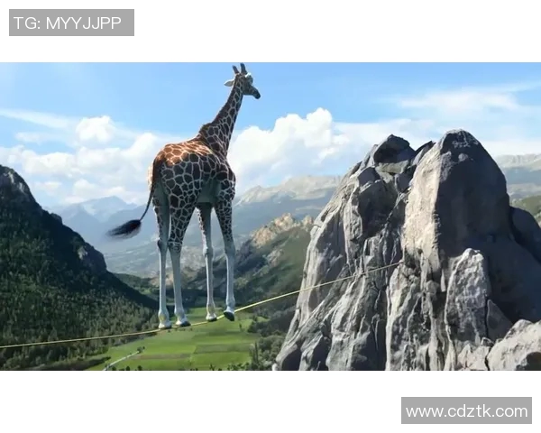 广州极限运动队意识表现的数据分析与研究探讨MBA