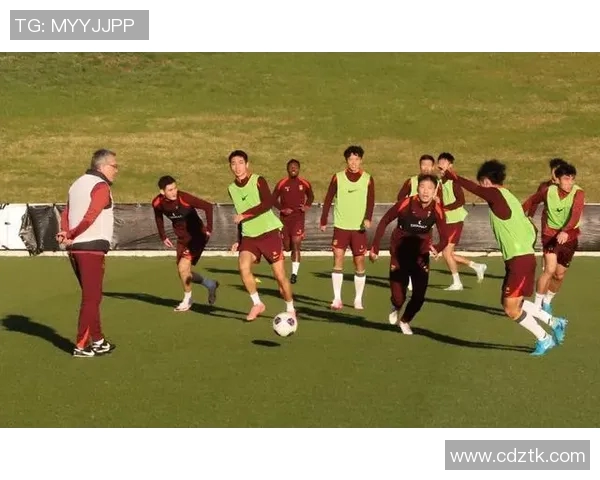 澳大利亚与立陶宛足球对决分析及比赛前瞻精彩看点解析 澳大利亚与立陶宛足球对决分析及比赛前瞻精彩看点解析