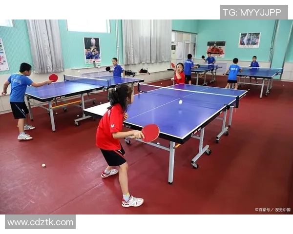 从零基础到高手之路乒乓球节奏掌握全攻略与技巧分享