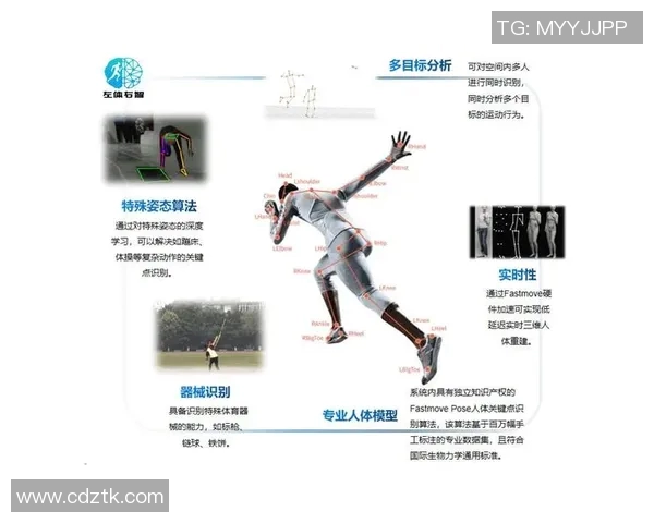 独家解析：WE耐力对比分析揭示运动表现的关键因素